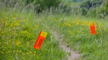 Trail ©Nacho Grez