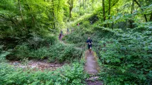 Trail ©Nacho Grez