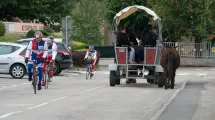 2017