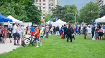 2015