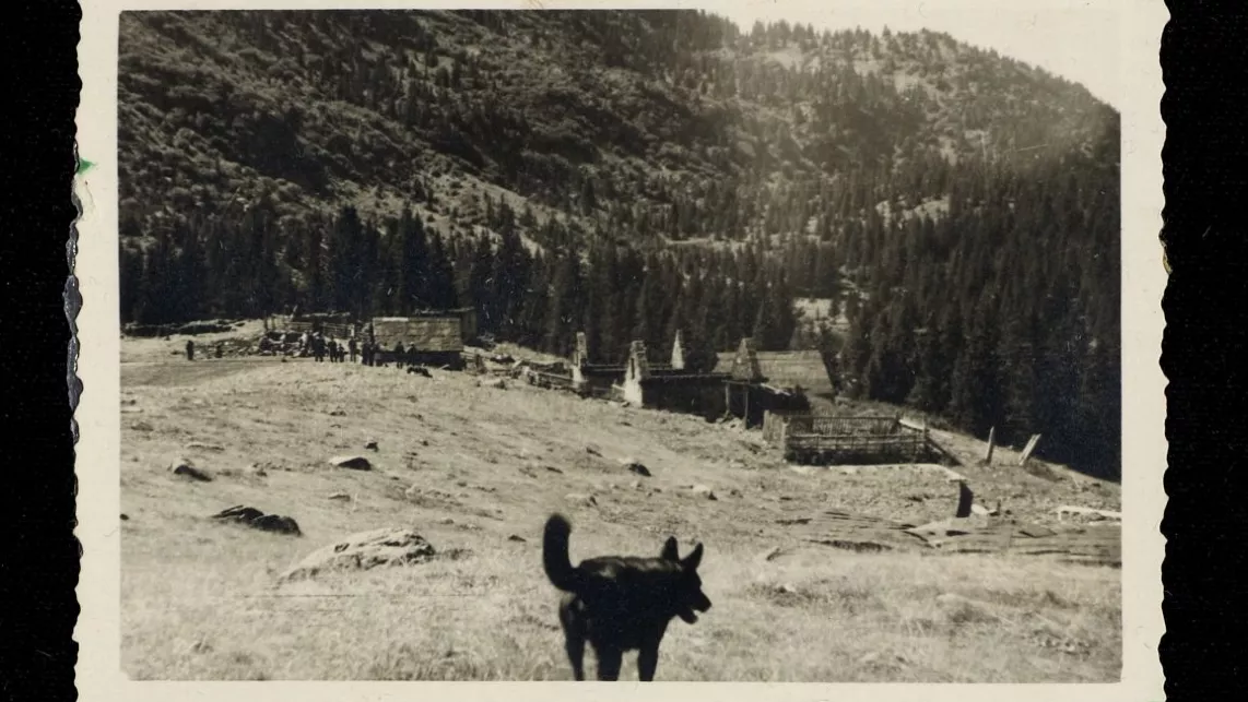 Lac du Poursollet, juin 1944, coll. Musée de la Résistance et de la Déportation - Département de l'Isère - 91.07.358
